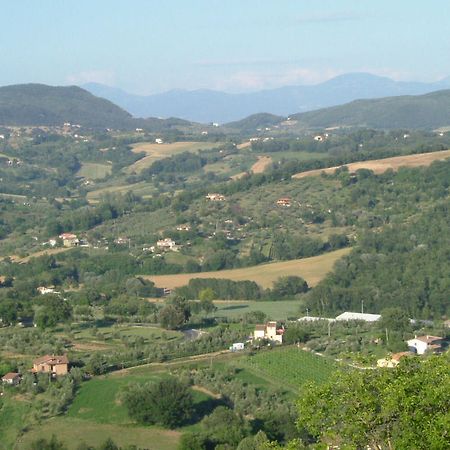Agriturismo Poggio Della Rosa Amelia Kültér fotó