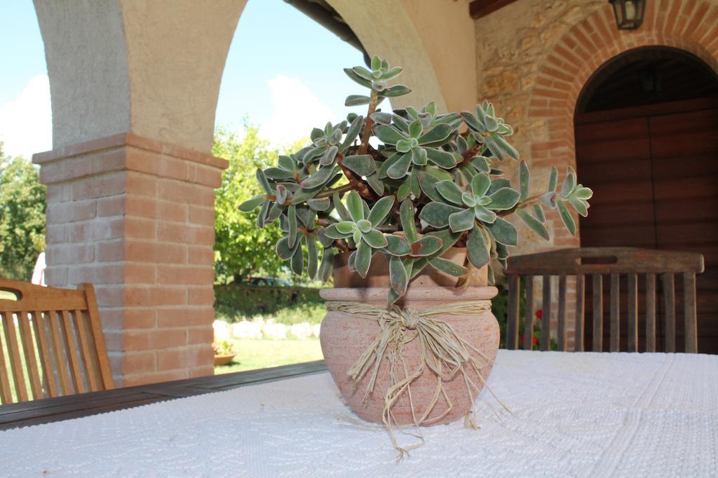 Agriturismo Poggio Della Rosa Amelia Kültér fotó